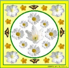 Blumen-Mandala-5.pdf